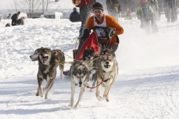Lenk 2012 SM